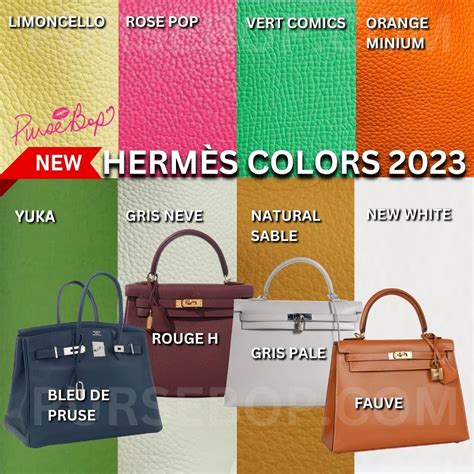 hermes so kelly bag colors|Hermes bag colour chart.